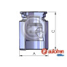 PISTONES UNITARIO EN CAJA