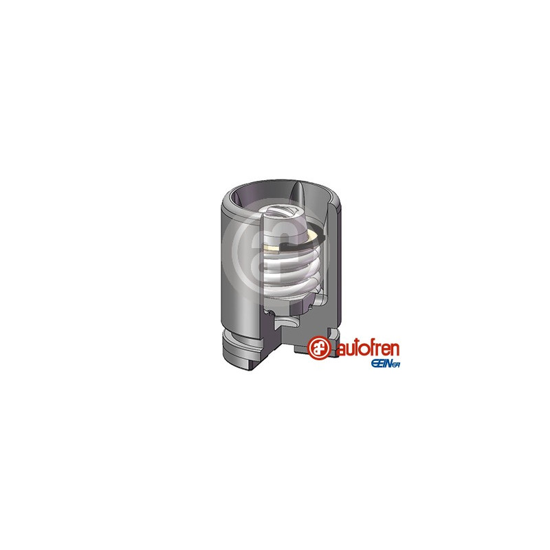 PISTONES UNITARIO EN CAJA PISTONES UNITARIO EN CAJA