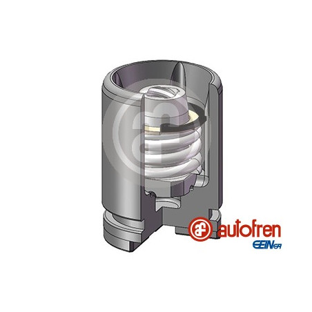 PISTONES UNITARIO EN CAJA