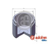 PISTONES UNITARIO EN CAJA