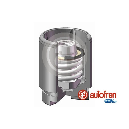 PISTONES UNITARIO EN CAJA