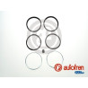 KIT ESTANDAR DE PINZA