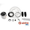 KITS PINZA CON PISTON