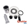 KITS PINZA CON PISTON