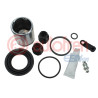 KITS PINZA CON PISTON