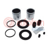 KITS PINZA CON PISTON
