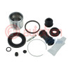 KITS PINZA CON PISTON