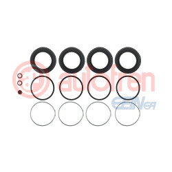 STANDARD CALIPER KIT