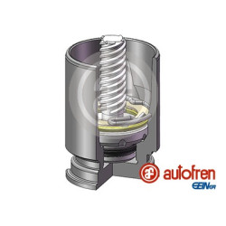 PISTONES UNITARIO EN CAJA