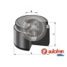 PISTONES UNITARIO EN CAJA