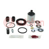 KITS PINZA CON PISTON