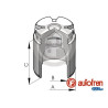 PISTONES UNITARIO EN CAJA