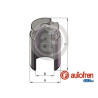 PISTONES UNITARIO EN CAJA