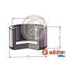 PISTONES UNITARIO EN CAJA