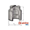 PISTONES UNITARIO EN CAJA