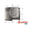 PISTONES UNITARIO EN CAJA