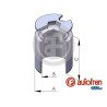 PISTONES UNITARIO EN CAJA