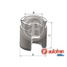 PISTONES UNITARIO EN CAJA